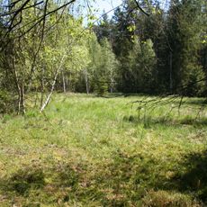 Moor an der Roten Pfütze