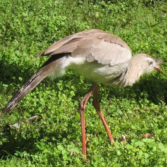 Parco nazionale di El Rey