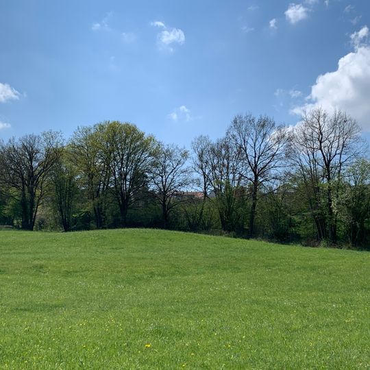 1 Baumgruppe mit ca. 15 Stieleichen an der Riedenberger Straße
