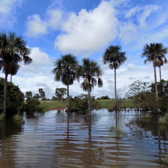 Dipartimento di Vichada