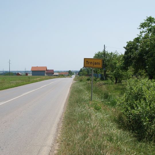 Trnjani