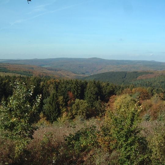 Gutsbezirk Reinhardswald