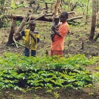 prefettura di Guéckédou