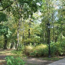 Park in Młodocin