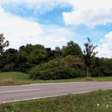 Bergkuppe Berglesfeld