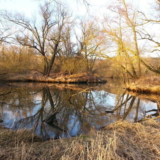 Altmain und Sandmagerrasen bei Limbach