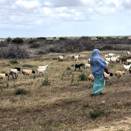 Kismayo National Park