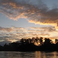 Lacandon Jungle