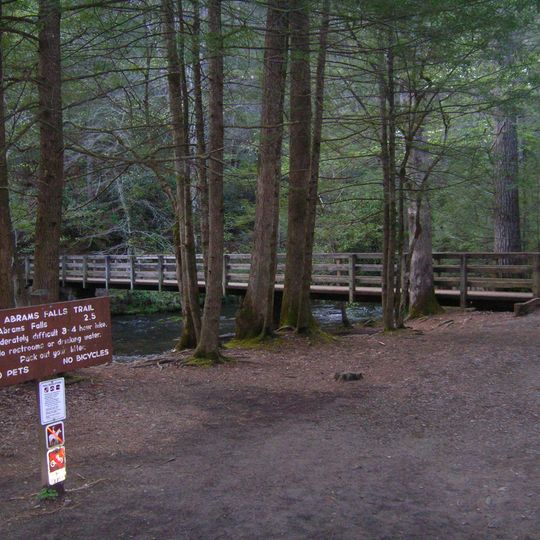 Abrams Falls Trail