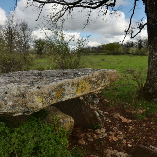 Assier dolmens