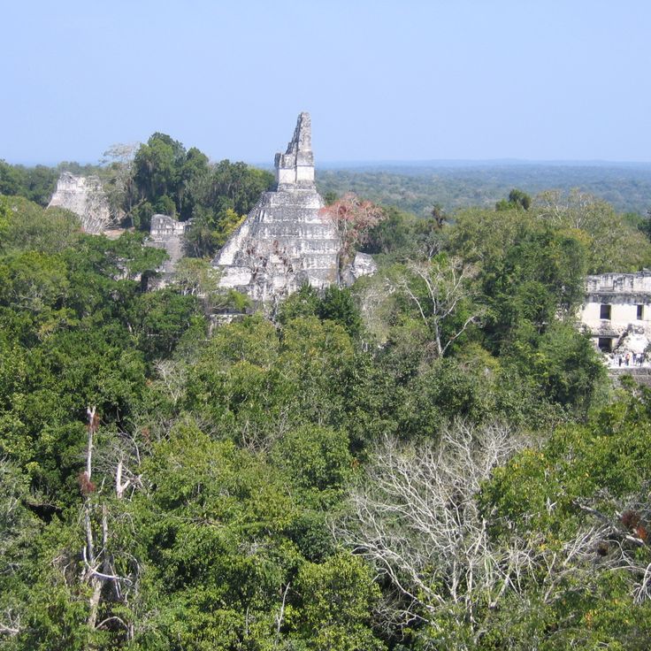 Parc National de Tikal