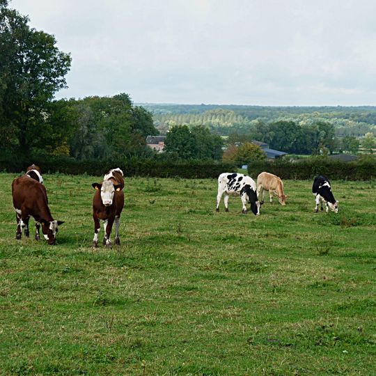 Prairies Du Val De Sambre