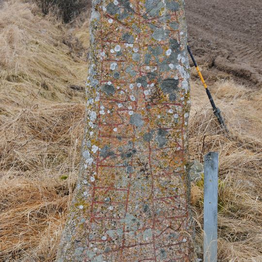 Östergötlands runinskrifter 88