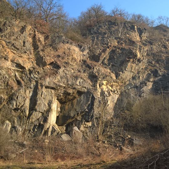 Kaňon Vltavy u Sedlce