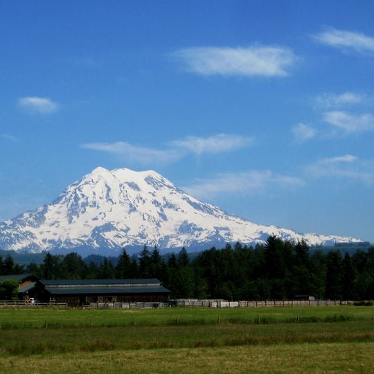 Graham