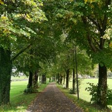 Lindenallee in Kasern