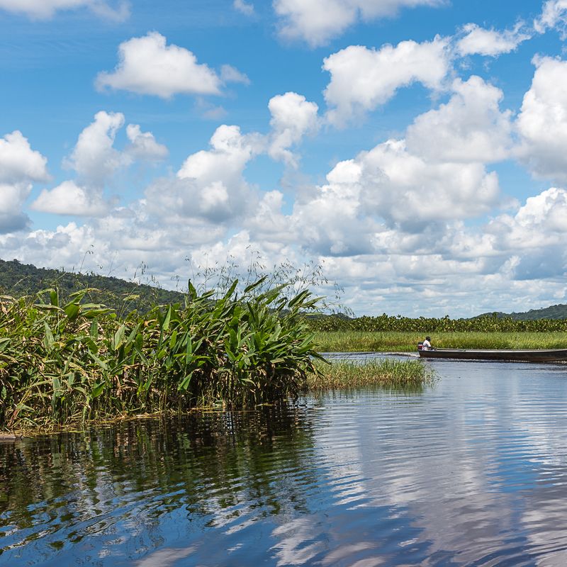 Nat Roura Kaw-Roura Marshes National Nature Reserve - National nature reserve in ...