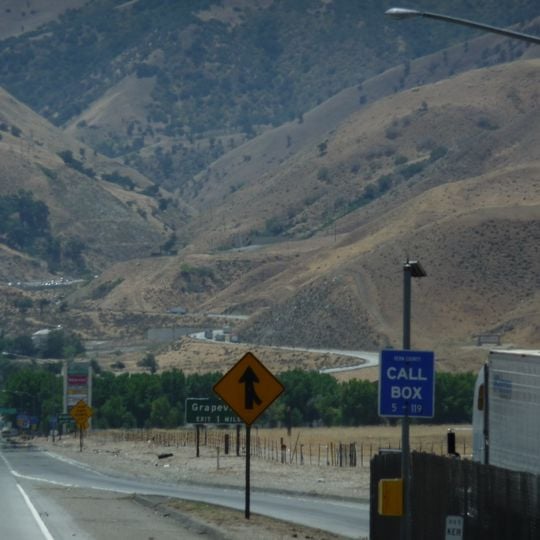 Grapevine
