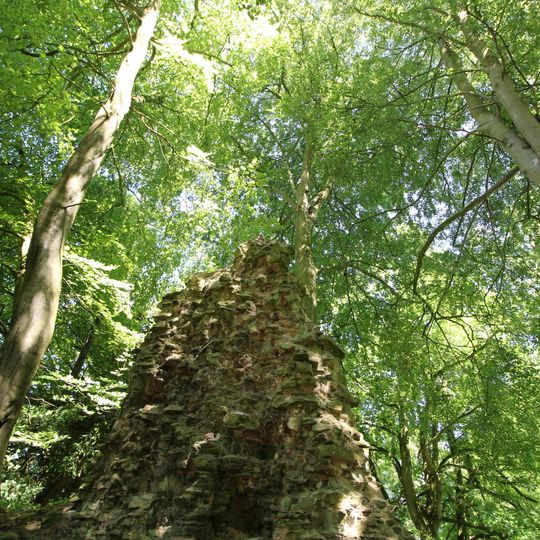 Ruins Of Lyonshall Castle