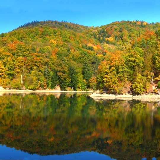 Dolnohodrušský tajch