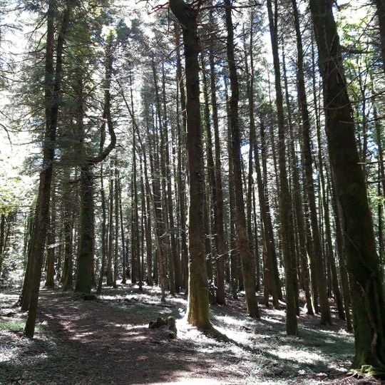 Riserva naturale Collemeluccio