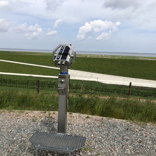 Punto di vista panoramico