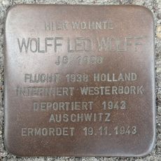 Wolff Leo Wolff