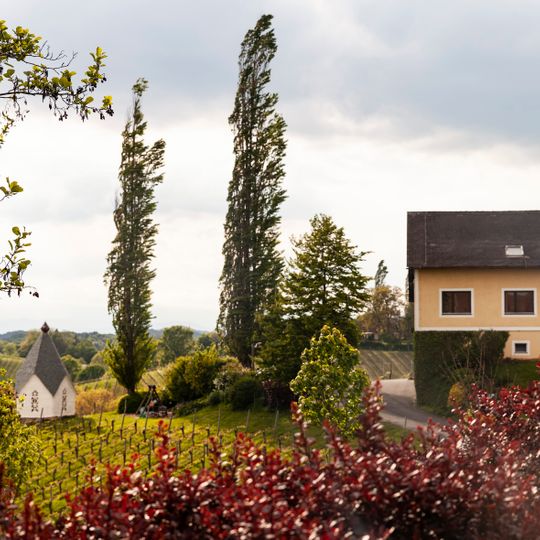 Weingut Muster.Gamlitz