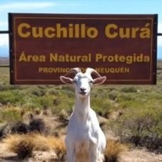 Área protegida Cuchillo Curá