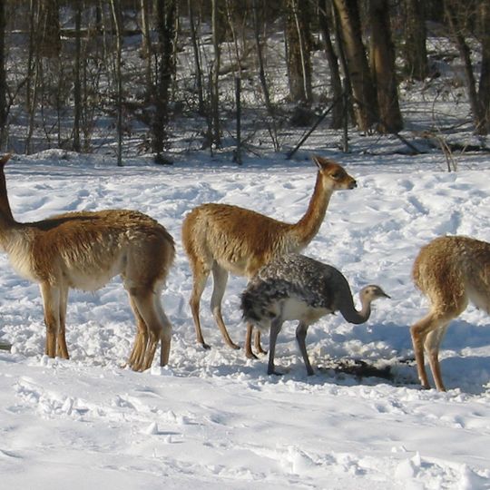 Reserva provincial Laguna Brava
