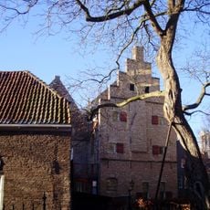Domus Clericorum, kelder en deel achtergevel (deel van Celecomplex)