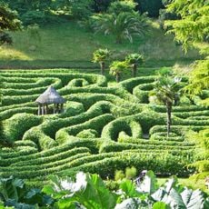 Glendurgan Maze