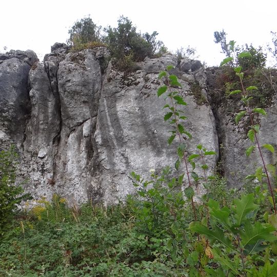 Piaseczno, Silesian Voivodeship