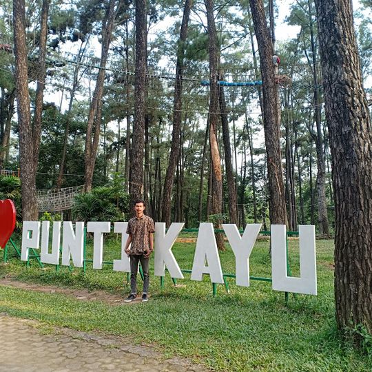 Hutan Wisata Punti Kayu