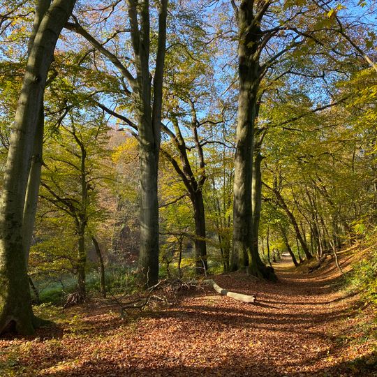 NSG Mittleres Ittertal und Baverter Bachtal