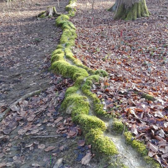 Steinerne Rinne N von Roschlaub