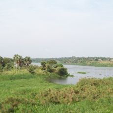 Lake Albert