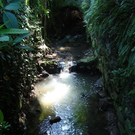 Carioca River