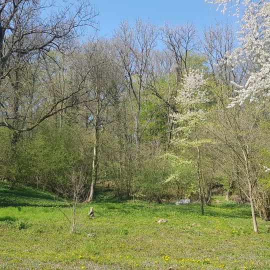 Groeve Lemmekenskoel