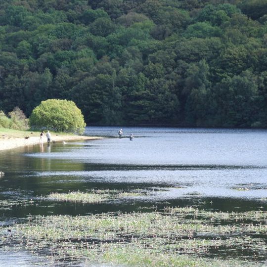 Backstone Bank and Baal Hill Woods