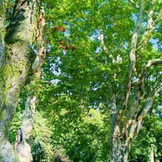 Manor Park in Rzeżewo