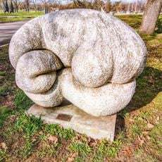 Језгро облика
