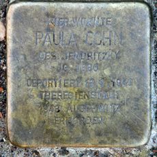 Paula Cohn