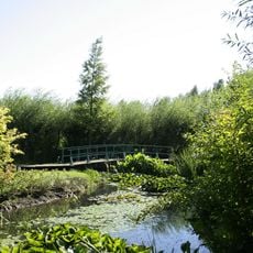 Étang de Bambois