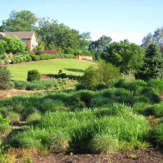 South Carolina Botanical Garden