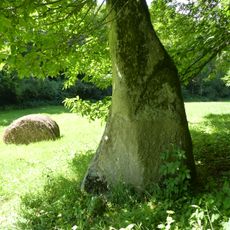 Menhir du Pré de Camet