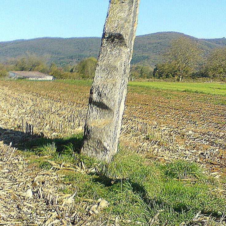 Menhir de Pierrefiche