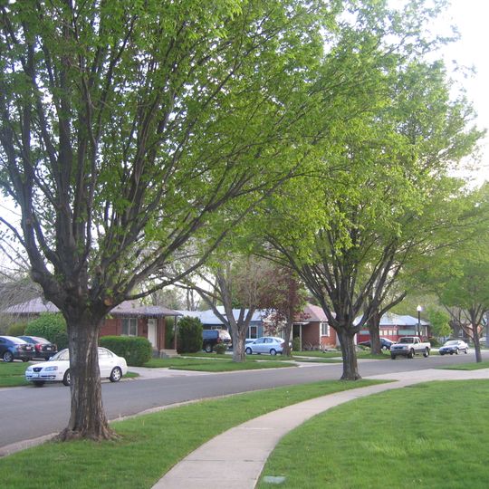 Rose Park