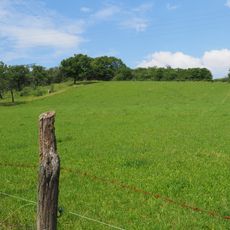 Ziegenbuschhänge bei Oberau