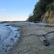 Fossil Beach
